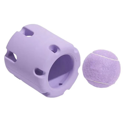 Pet Bite Resistant Educational Toy