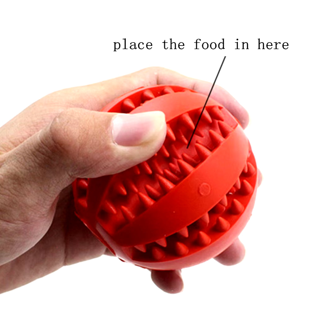 Pet Interactive Rubber Ball