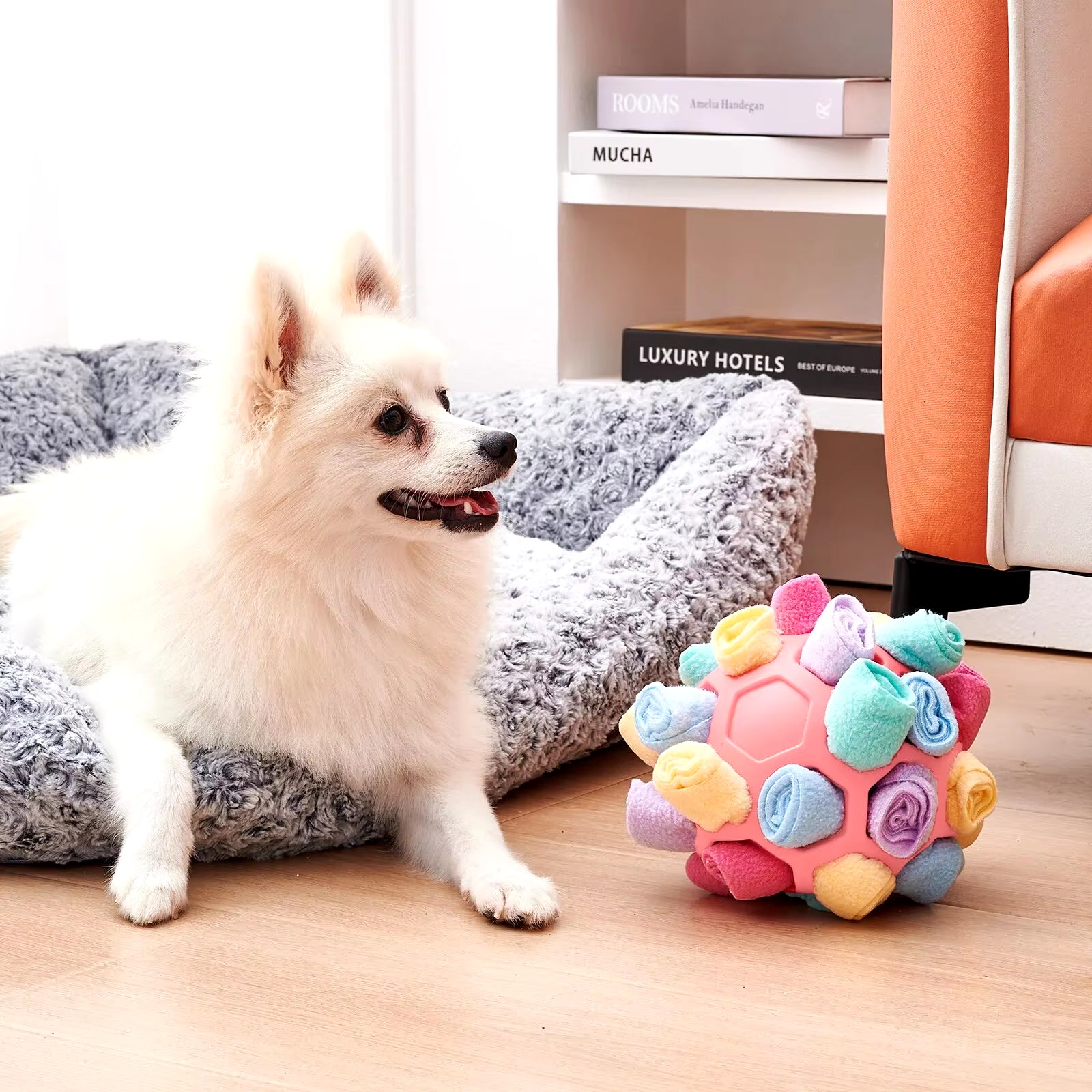 Interactive Training Pet Toys